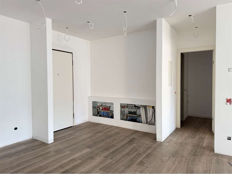 Lake view, new 2.5-room apartment with terrace (10)
