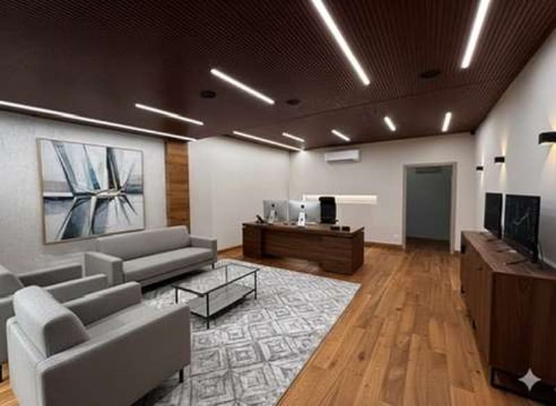 Investment at 7%, large renovated office-store (9)