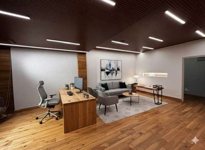 Investment at 7%, large renovated office-store (12)