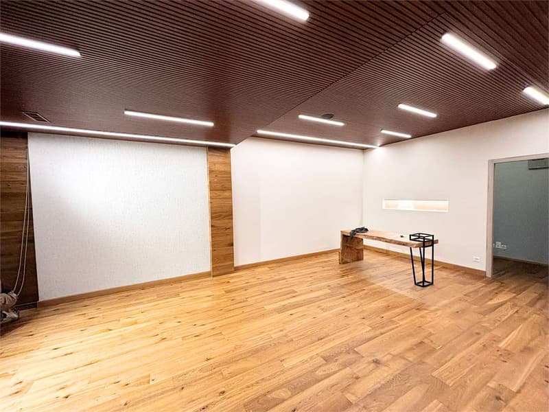 Investment at 7%, large renovated office-store (13)