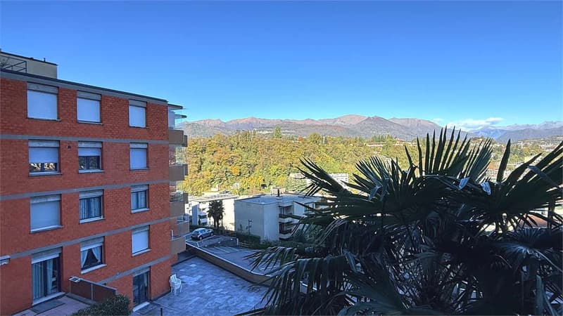 3.5 rooms with lake view terrace - great potential in Paradiso (2)