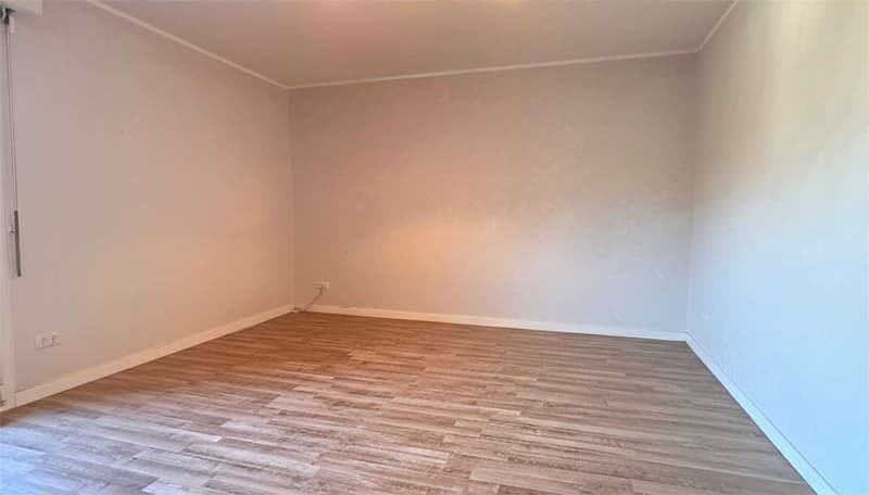 3.5 rooms with lake view terrace - great potential in Paradiso (7)