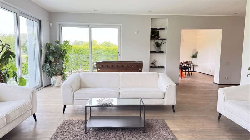 Prächtige Luxusvilla mit überdachtem Pool und Park - nahe Schweiz (3)
