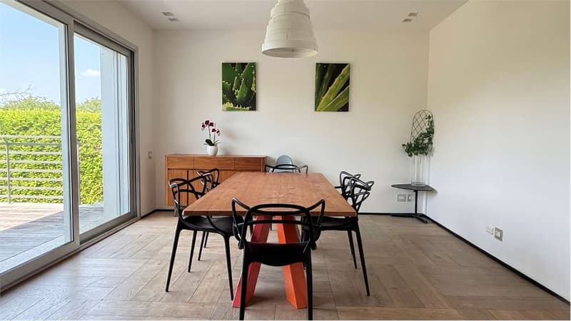 Prächtige Luxusvilla mit überdachtem Pool und Park - nahe Schweiz (7)