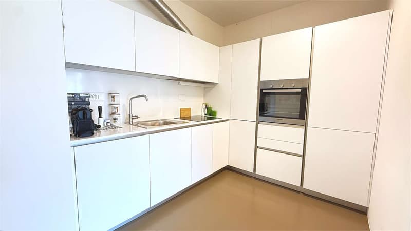 Moderno 4,5 con grande terrazzo (5)
