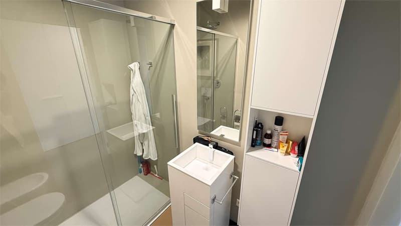 Moderno 4,5 con grande terrazzo (11)