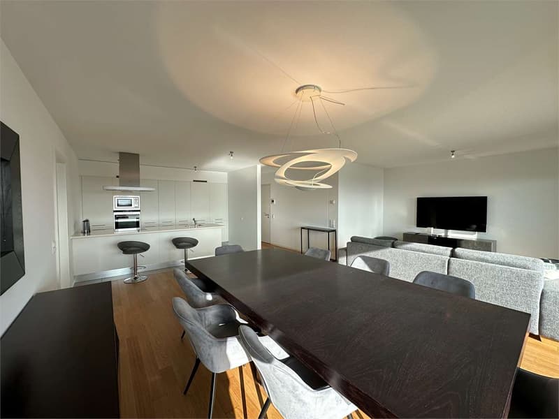 Appartamento 4.5 locali con terrazzo e vista lago (4)