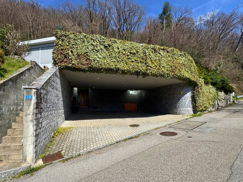 A modern building with a unique, curved roof covered in lush greenery, likely ivy or other climbing plants. The building has a stone exterior and is situated in a wooded, natural setting. There is a paved walkway leading to the entrance of the building, w