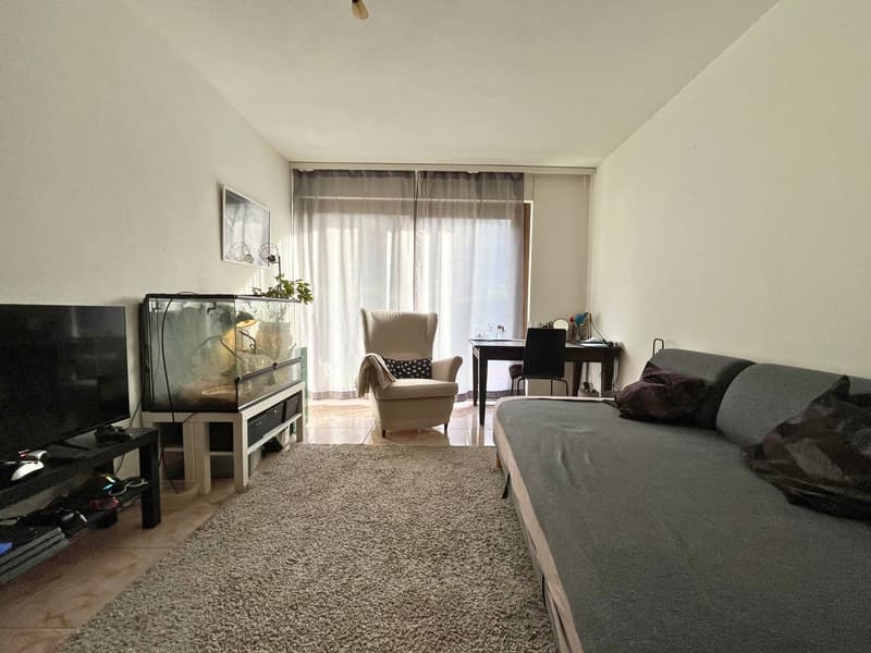 Villa avec deux appartements et parc privé à Figino (20)