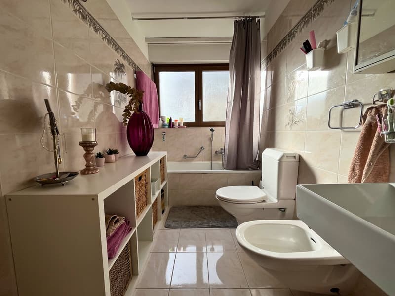 Villa avec deux appartements et parc privé à Figino (21)