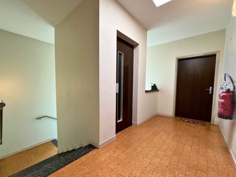 Résidence avec 12 appartements – Arbedo (14)