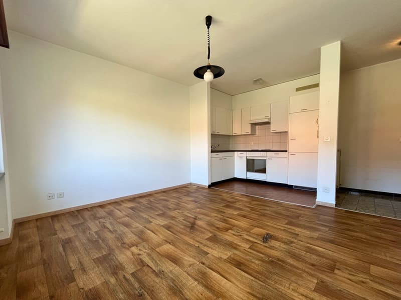 Résidence avec 12 appartements – Arbedo (10)