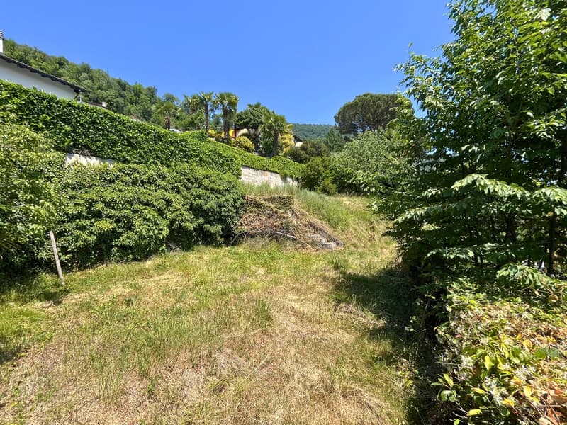 Bezaubernde Villa in Vacallo – 5.5 Zimmer im Grünen mit Panoramablick (7)
