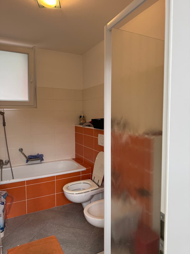 Duplex indipendente con vista lago a Ponte Tresa (10)