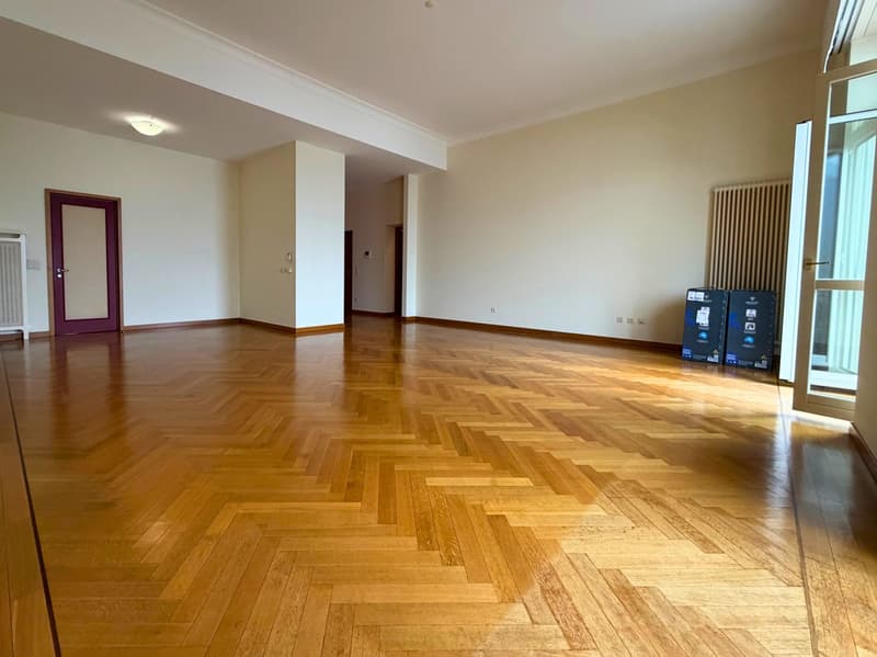 Residenza Bristol | Ampio 3.5 locali con splendida vista lago (2)