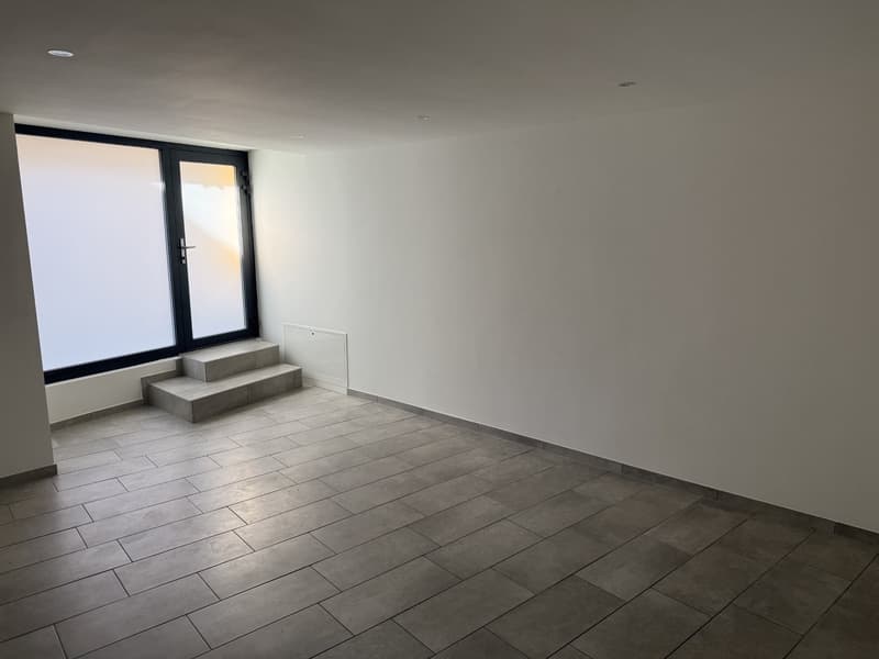 Appartamento 2 locali al piano terra a Collina d'Oro – disponibile subito (9)