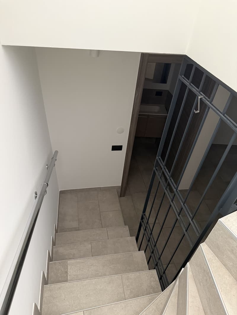 Appartamento di 2 locali in affitto a Collina d'Oro (10)
