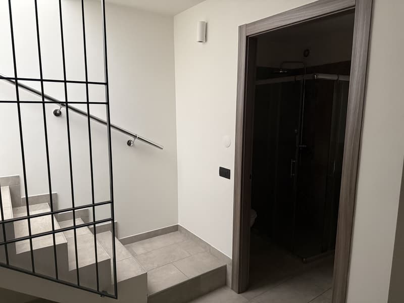 Appartamento di 2 locali in affitto a Collina d'Oro (11)