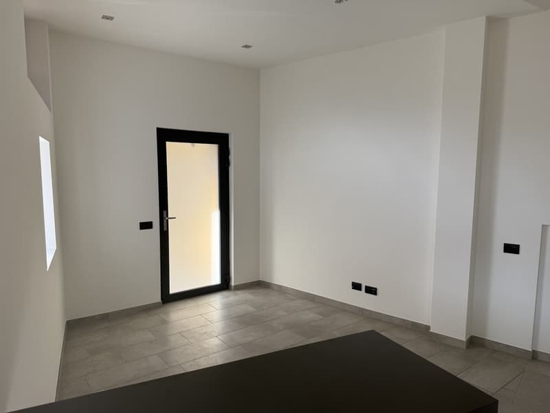 Appartamento di 2 locali in affitto a Collina d'Oro (7)
