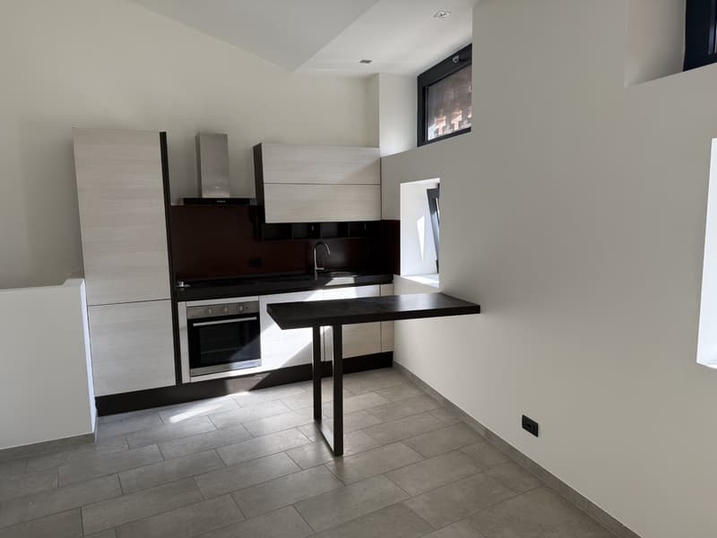 Appartamento di 2 locali in affitto a Collina d'Oro (4)