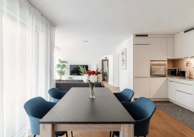Modern 2.5-room apartment with large terrace and parking space – Locarno (2)