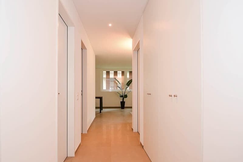 white walls, wooden floor, closed doors, potted plant, window with blinds
