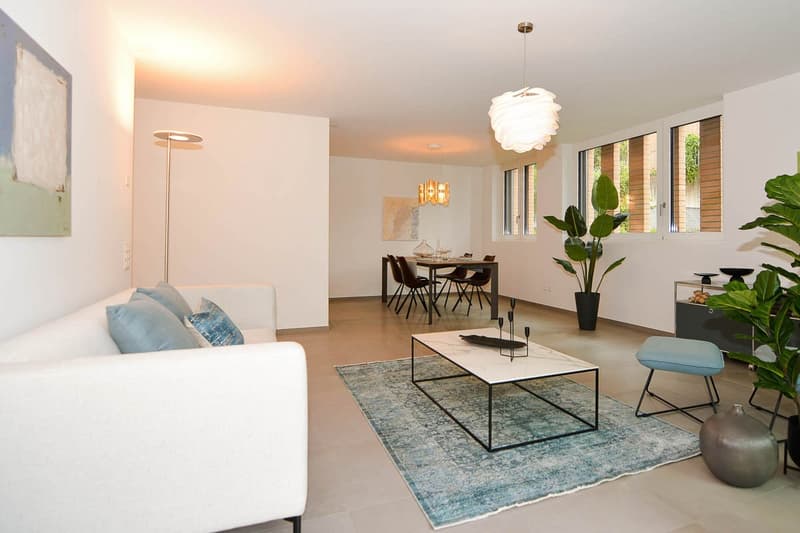 modern living room with white couch, coffee table, rug, floor lamp, dining table, chairs, plants
