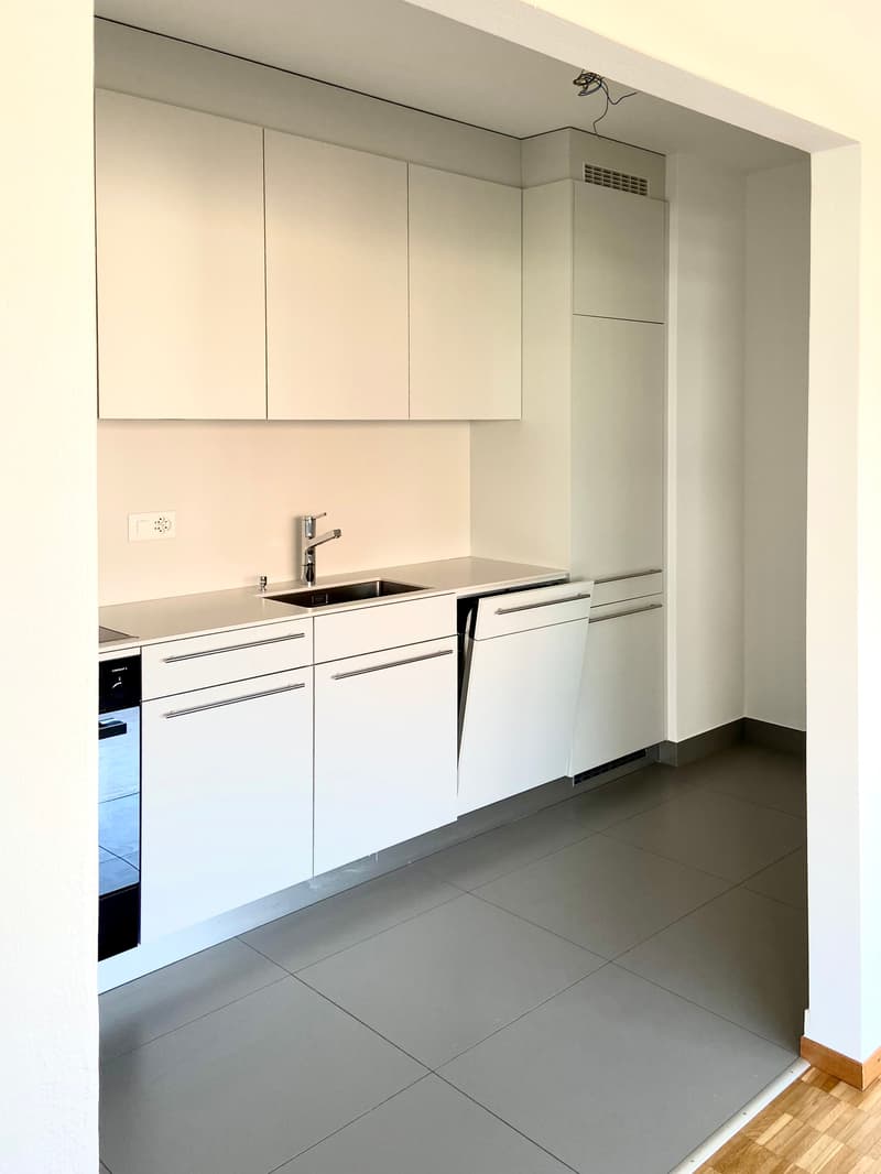 Bright 2.5-room apartment with balcony (5)