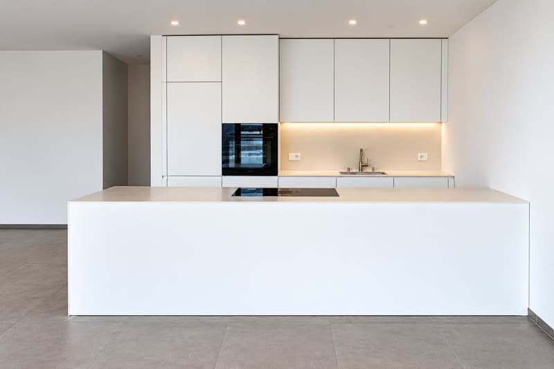 Appartamento moderno 5.5 locali di nuova costruzione con ampia terrazza (3)
