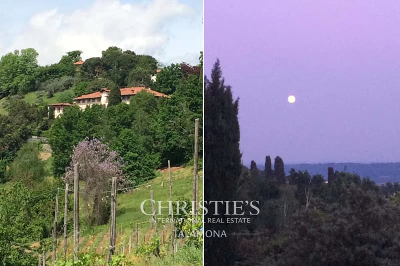 Luxury villa with large park and historic interiors in Biella (13)
