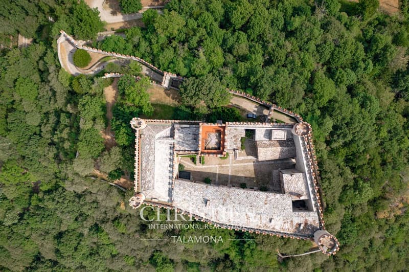 Historic Castle in Dominant Position with Panoramic View - Montalto Dora (3)