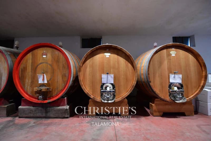 Historisches Weingut und Wohnhaus im Herzen von Barolo (9)
