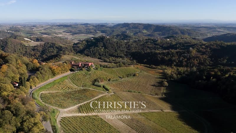 Winery with vineyards and country house in Monferrato - Serralunga di Crea (9)