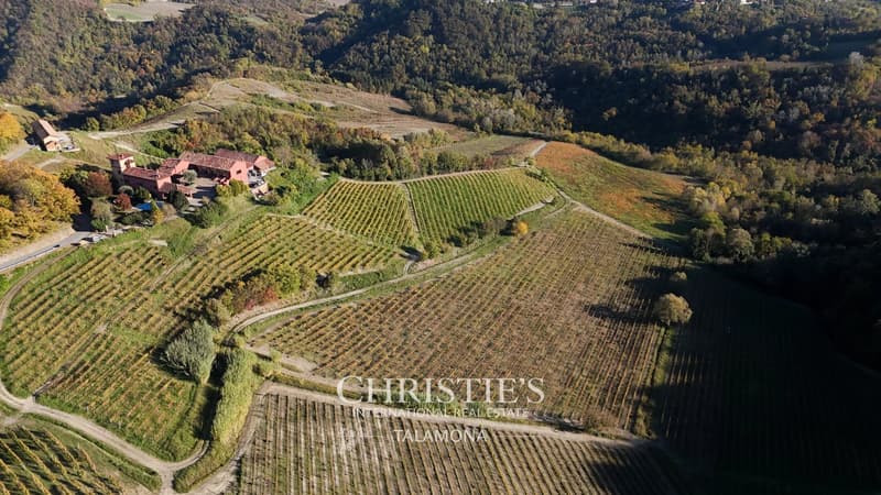Winery with vineyards and country house in Monferrato - Serralunga di Crea (8)
