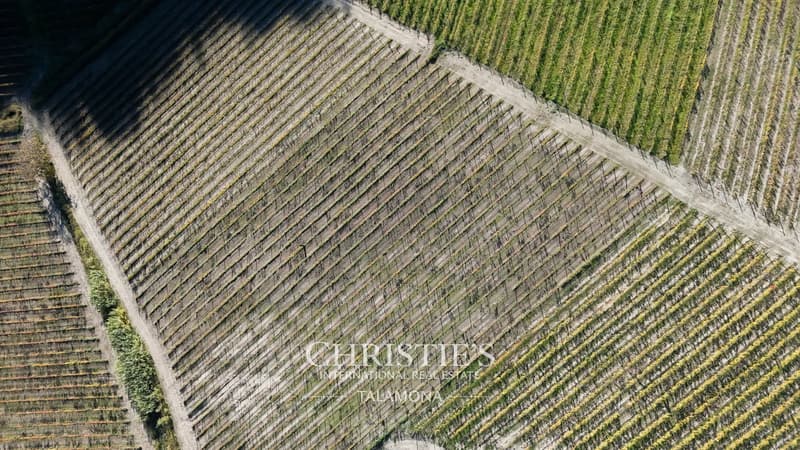 Winery with vineyards and country house in Monferrato - Serralunga di Crea (10)