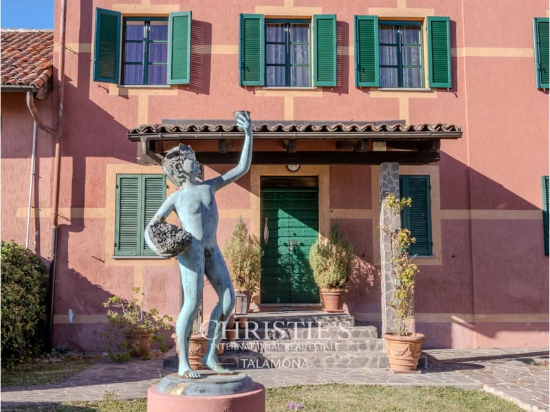 Winery with vineyards and country house in Monferrato - Serralunga di Crea (8)