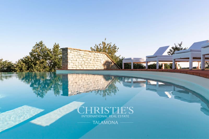 Winery with vineyards and country house in Alta Langa ? Melazzo (3)