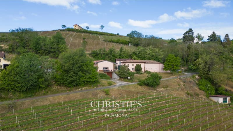 Weingut mit Weinberg und Landhaus in Canelli (8)