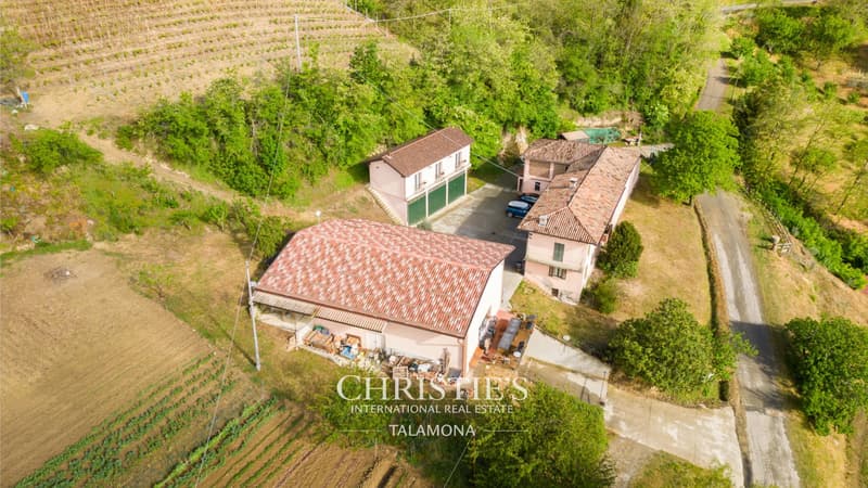 Weingut mit Weinberg und Landhaus in Canelli (6)