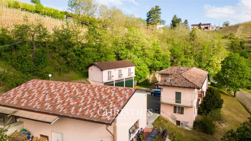 Weingut mit Weinberg und Landhaus in Canelli (2)