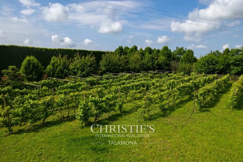 Domaine historique entouré de verdure à Oleggio (12)
