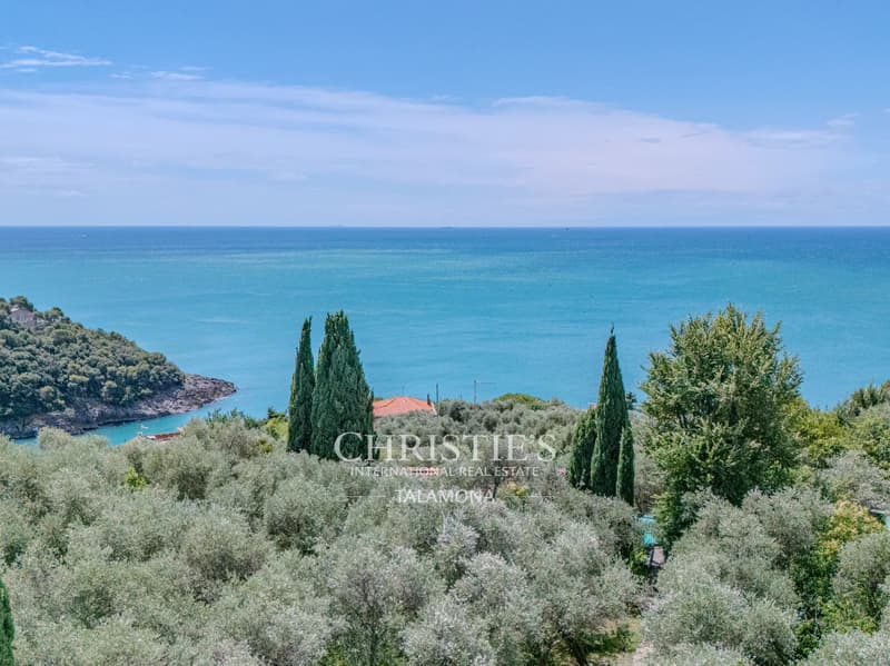 Exclusive detached villa with pool and breathtaking sea view in Lerici, Gulf of Poets (4)