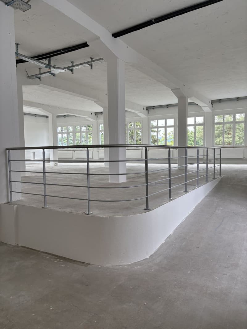 Espace commercial unique au charme industriel (1)
