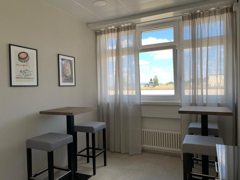 Bureau moderne avec terrasse sur le toit (6)