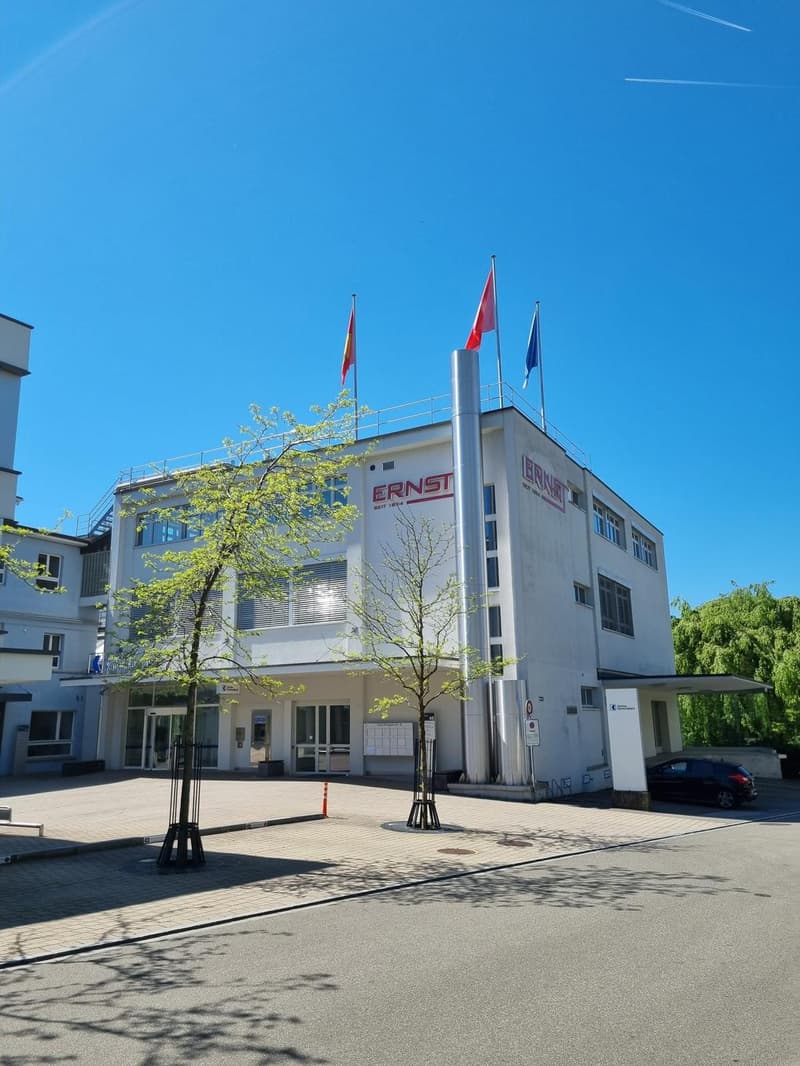 A multi-story commercial building with the name 'ERNST' displayed prominently on the facade. The building has a modern, minimalist design with large windows and flags flying on the roof. There are trees and a paved area in front of the building.