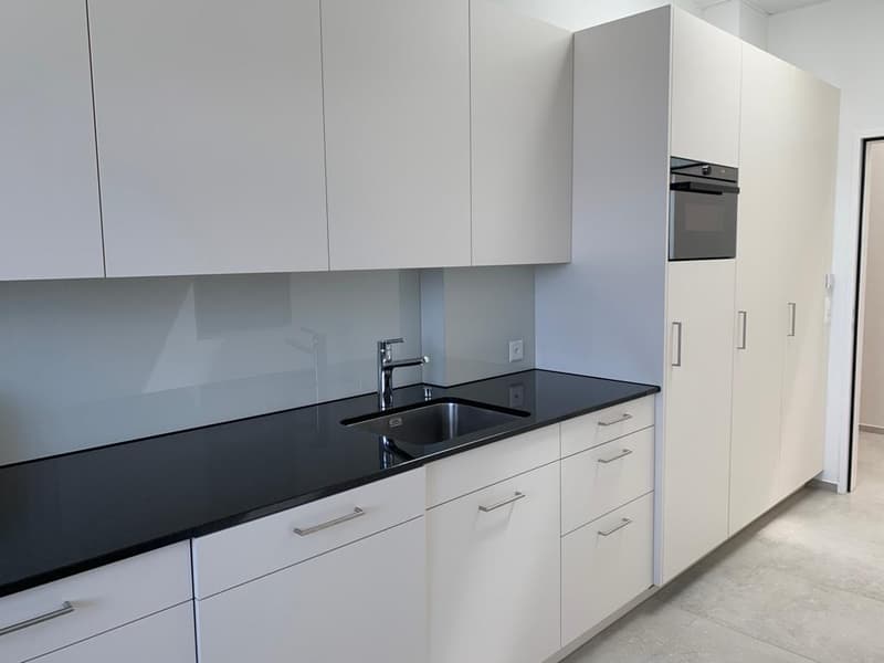 Modern kitchen with white cabinets, black countertop, built-in oven, and a dishwasher
