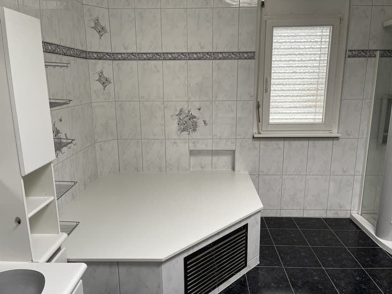 Bathroom with white marble-like tiles, black tile floor, built-in shelves, and a dishwasher visible.