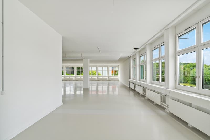Large open-plan office space with white walls, large windows providing natural light, and a polished concrete floor. The space appears to be empty and ready for use.