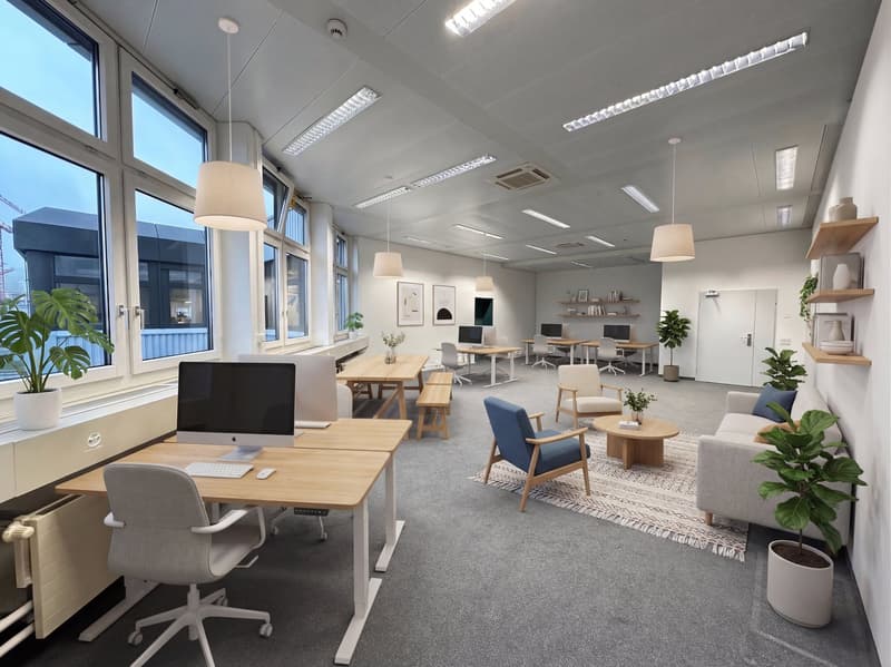 modern office space with large windows, wooden desks, chairs, plants, and a rug