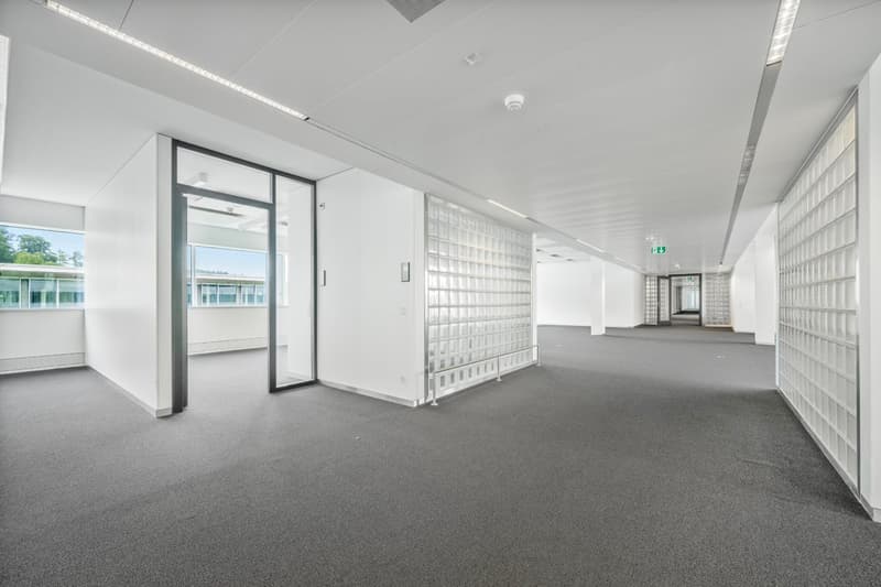 Petits espaces fraîchement construits – idéaux pour les start-ups, les créatifs et les entreprises individuelles (3)